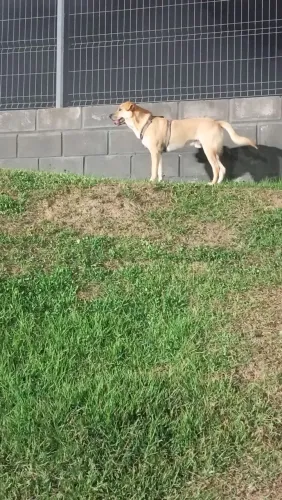 Doação 