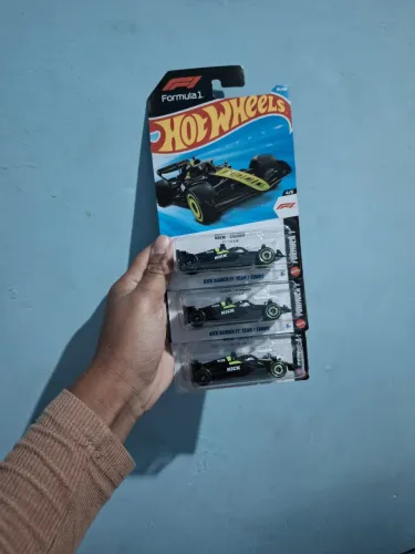 Minis do robson