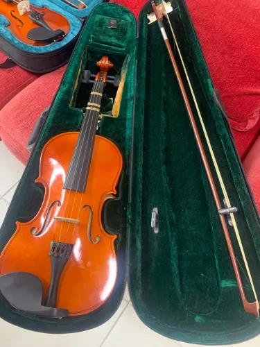Violino adulto 