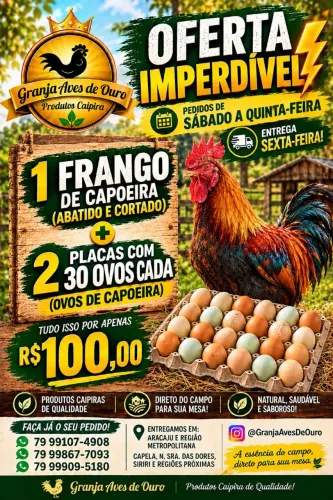 COMBO 1 FRANGO + 60 OVOS