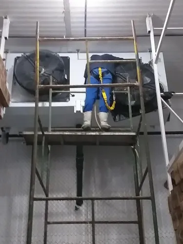 Refrigeração de Câmaras frigoríficas ( 92) 9  *