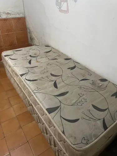 Cama
