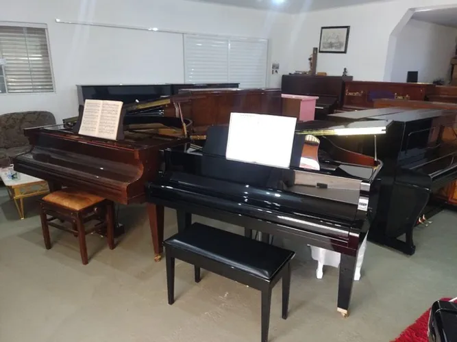 Avaliador de pianos