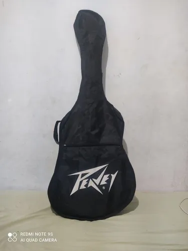Guitarra peavey completa e em ótimas condições... troco tbm por tv