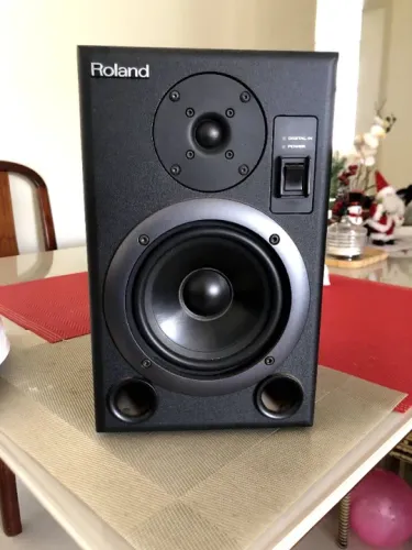 Par de Monitores de Referência Roland DS-5 (Monitor de Áudio Monitor de Estúdio)