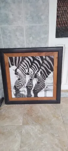 Quadro lindissimo de zebras