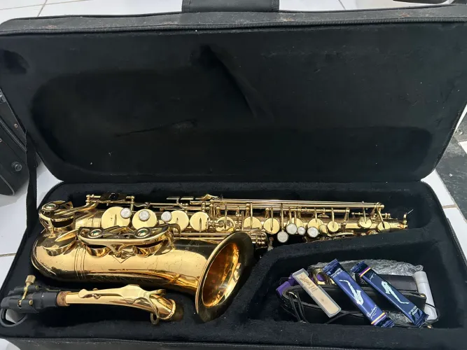Saxofone Alto Michael - Dourado + Acessórios Novos