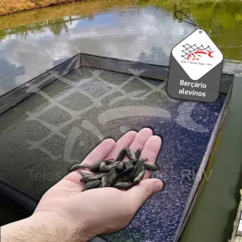 Berçário Bolsão para alevinos de peixes