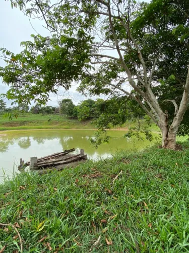 Sítio a venda na 1 de Março (76.000m2)