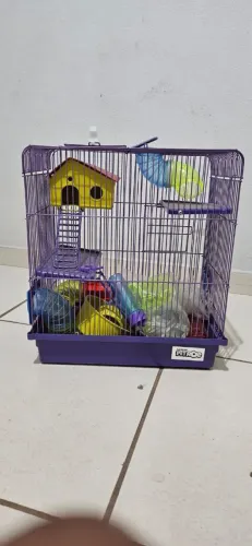 Gaiola Hamster