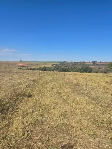 Fazenda à venda em Uberlândia/MG com 17 alqueires (82,28 hectares)