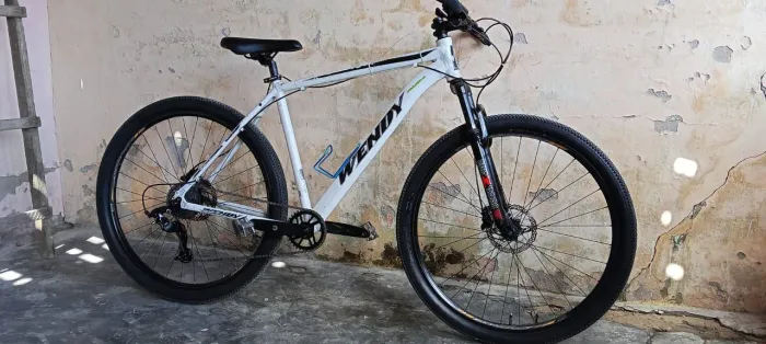 Bicicleta aro 29
