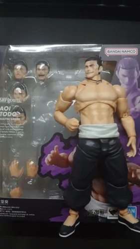 Aoi Todo Sh figuarts