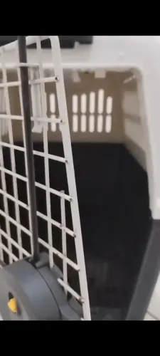 Caixa de transporte de cachorro padrão iata N5