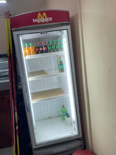 Freezer vertical expositor