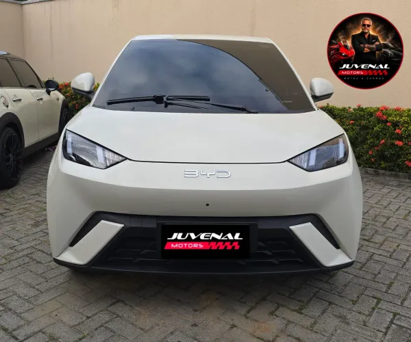 BYD Dolphin Mini (Elétrico) 2027