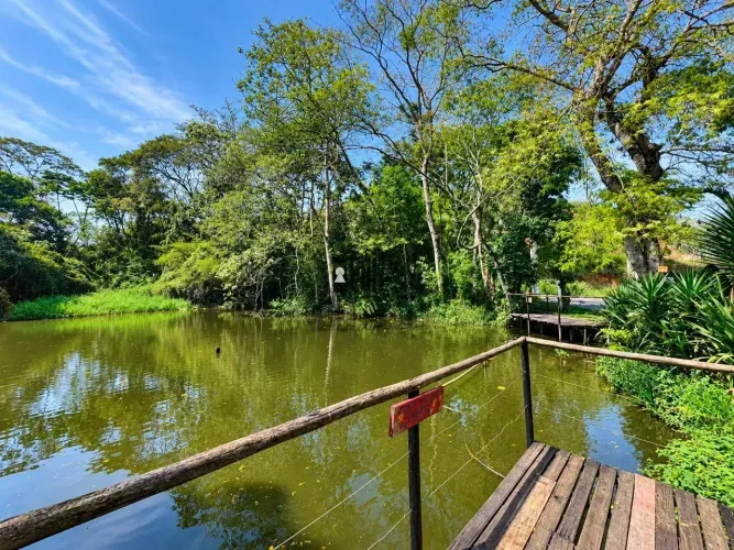 Terreno à venda, 2000 m² por R$ 220.000 - Pitangueiras - Matias Barbosa/MG