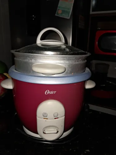 Vendo panela elétrica 3 litros