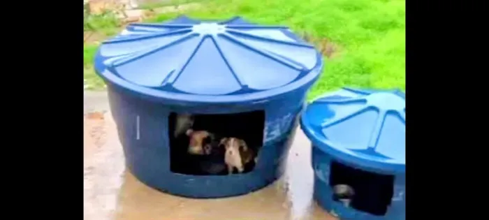 Casa de Cachorro Gigante Mil Litros