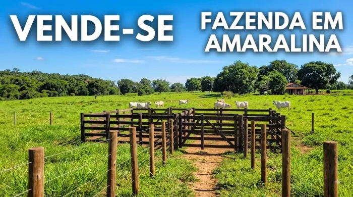 VENDE-SE FAZENDA EM AMARALINA