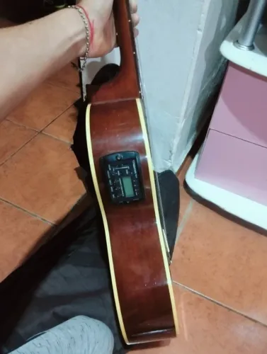 Viola caipira