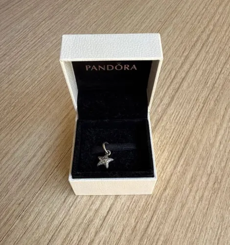 Charm Pandora