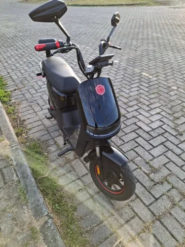 Foston x13