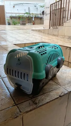 Caixa de Transporte para Cães
