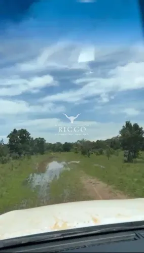 Fazenda à Venda em Paranã TO | 3.463 Hectares | Rica em Água