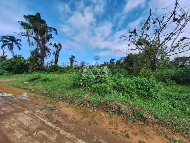 Terreno | Venda | golfinho