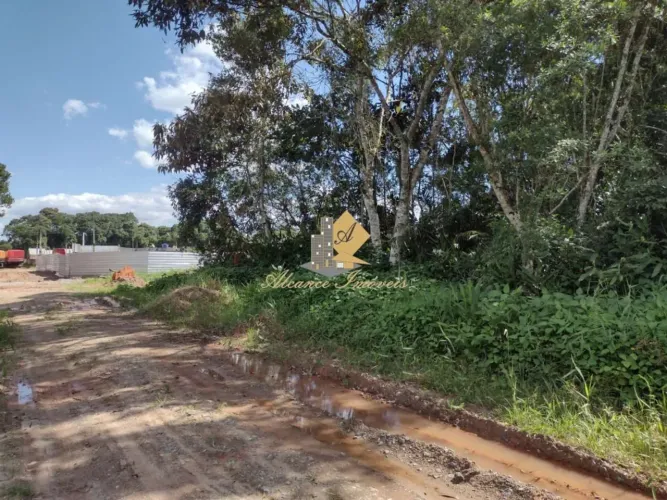 Terreno para Venda em São Francisco do Sul, Reta