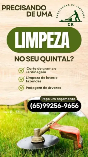 Limpeza em terrenos ,prédios e em geral 