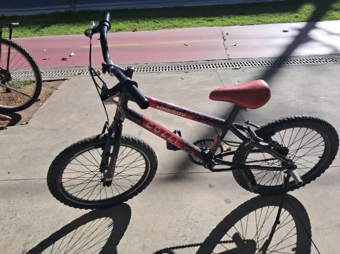 Bicicleta
