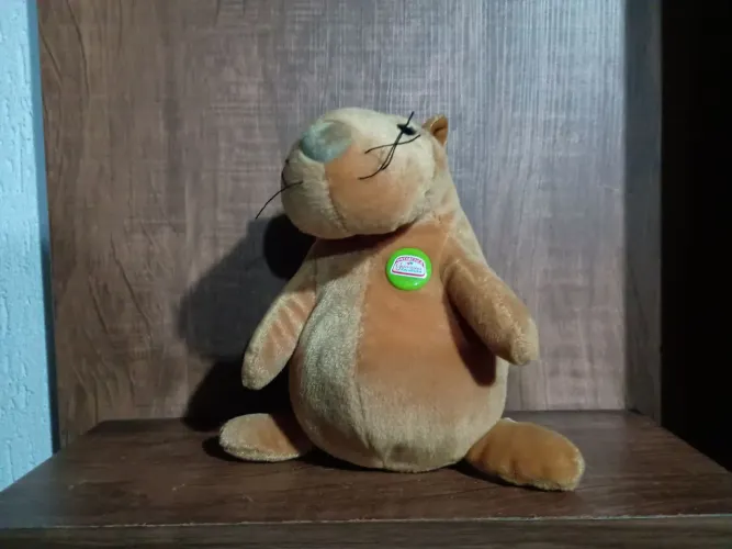 Pelúcia guaraná capivara usada na condição das fotos