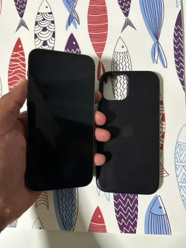 iPhone 12 Pro 