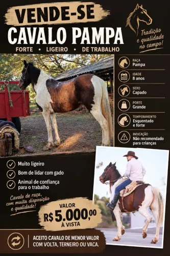 Cavalo pampa