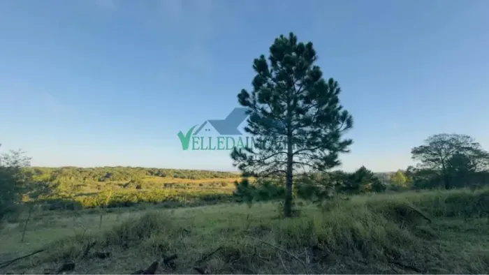 Terreno plano com vista panorâmica, 800 m² e entrada facilitada