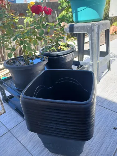 Vasos