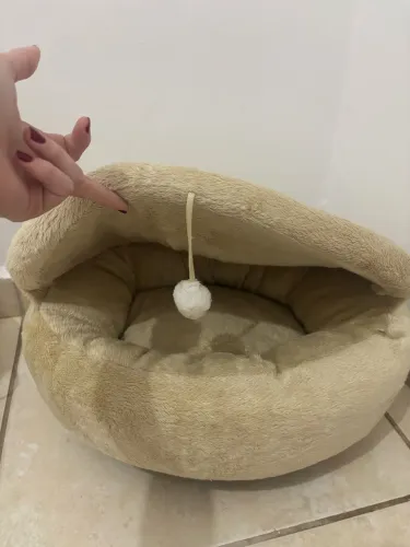 Caminha de gato