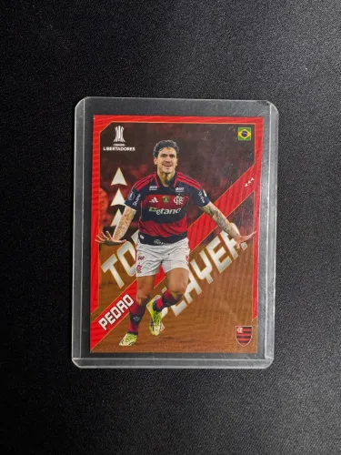 Card Libertadores - Pedro