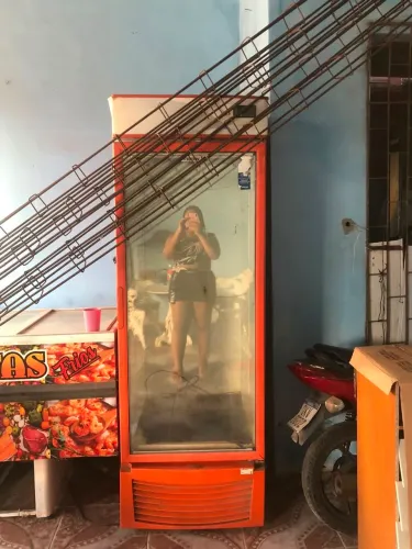 Freezer expositor