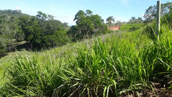 Terreno em guararema