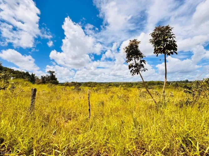 Chácara para Venda em Luziânia, Parque Estrela Dalva VII