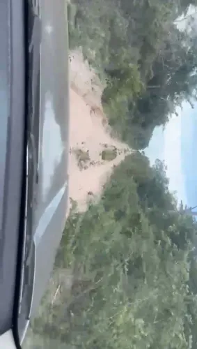 Excelente Fazenda a 35 km de Eliseu Martins - PI - Ótimo Acesso