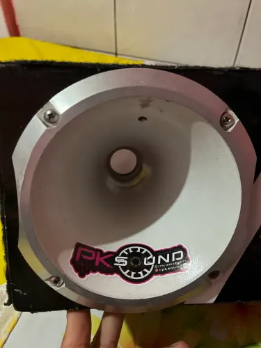 Módulo TS 400x4 e caixote de corneteira mais lente incluso!!