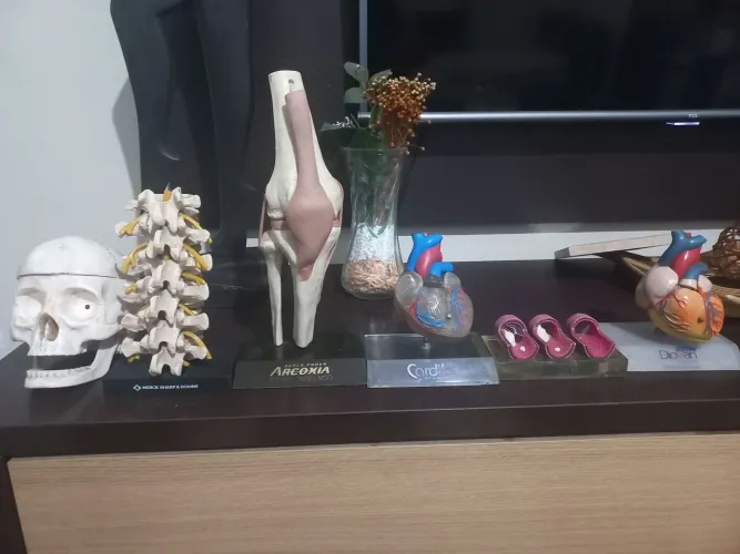 Peças de anatomia