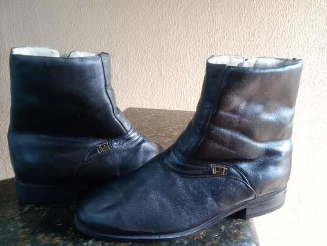 Bota