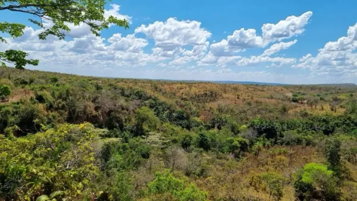 Fazenda em Miracema do Tocantins - 41,5824 hectares