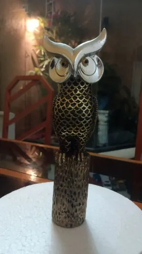 Coruja