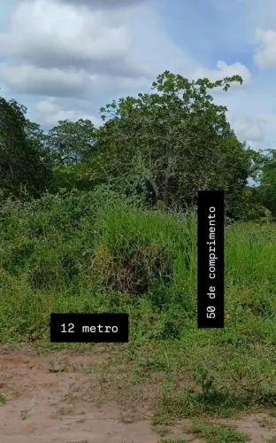 Vendo 2 lote 12por 50de fundo em pureza